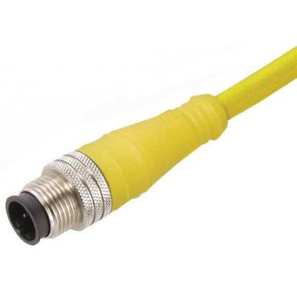 Cable Brad Harrison, 4 pines, enchufe macho - 804006A09M020