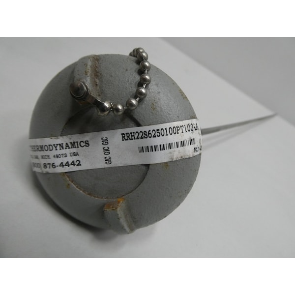 Gic Thermodynamics 22IN 1/4IN RTD - RRH22S62500100PT103AA