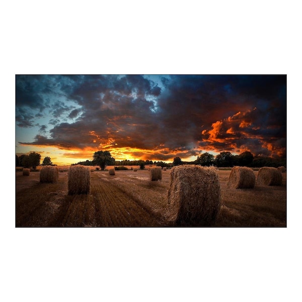 Shockwave 46 in. LFD Video Wall Narrow Bezel Commercial Display - SH2938177