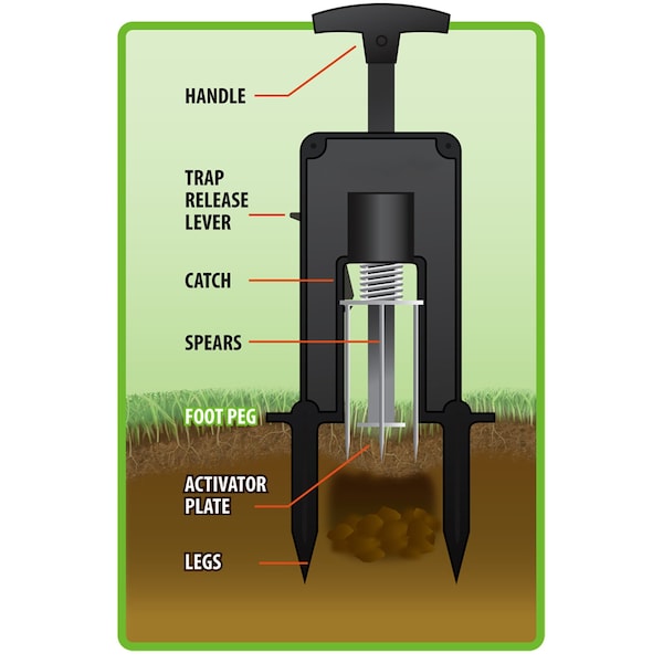 Victor Victor Deadset Medium Plunger Animal Trap For Moles 1 pk - M9015