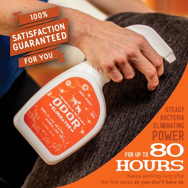 Angry Orange Angry Orange All Pets Liquid Enzyme Stain And Odor Remover 32 oz - AOR-PET-STOD-32
