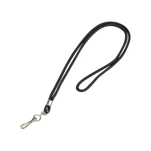 Bsc Preferred Standard Black Lanyard with Hook, 24PK - BUY00029375