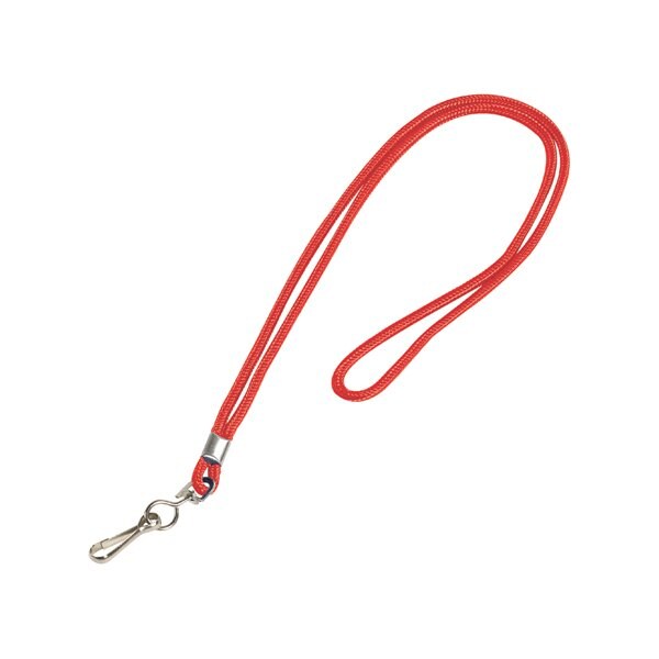 Bsc Preferred Standard Red Lanyard with Hook, 24PK - BUY00030850