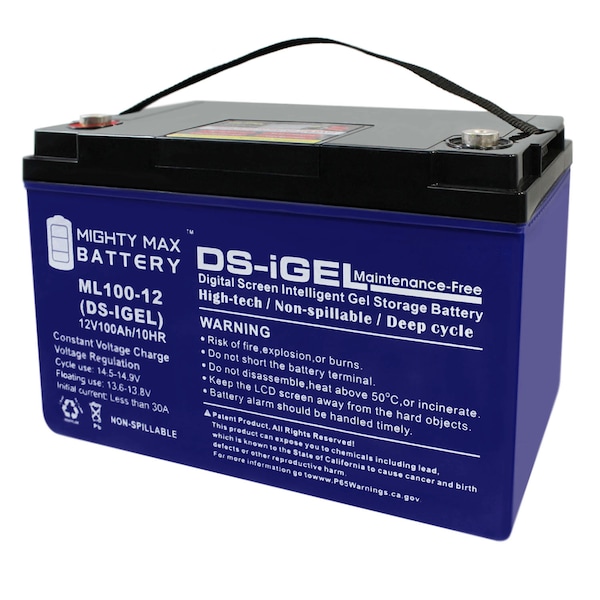 Mighty Max Battery 12V 100AH GEL Battery Replacement for Interstate SLA1189 - ML100-12GEL10