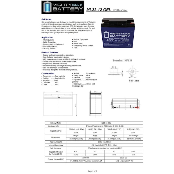 Mighty Max Battery 12V 22AH GEL Replacement Battery for Neptune NT-12220 - MAX3943827