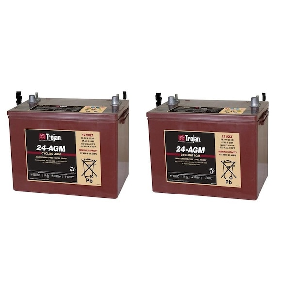 Ilc Replacement For Windsor Industries, 2Pk, Radius 300 24 Volts - RADIUS 300 24 VOLTS 2 PACK