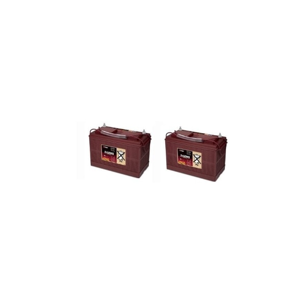 Ilc Replacement For Intelligent Cleaning Equi, 2Pk, I20Nb 24 Volts - I20NB 24 VOLTS 2 PACK