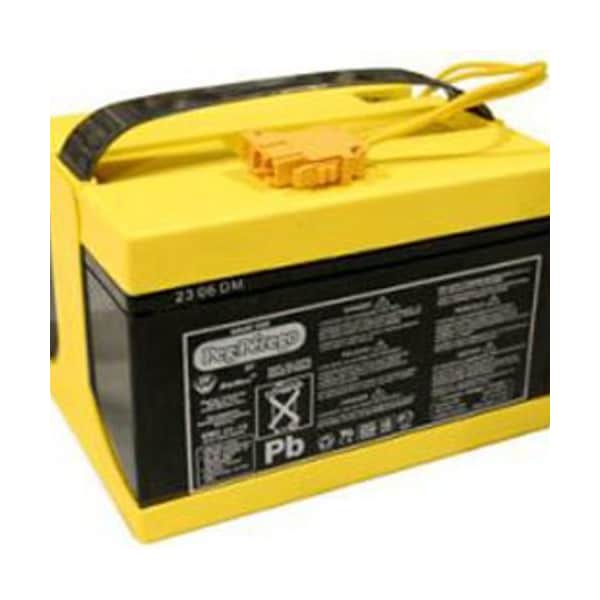 Ilc Replacement for PEG Perego Polaris Ranger RZR Original Battery - POLARIS RANGER RZR ORIGINAL BATTERY PEG PEREGO
