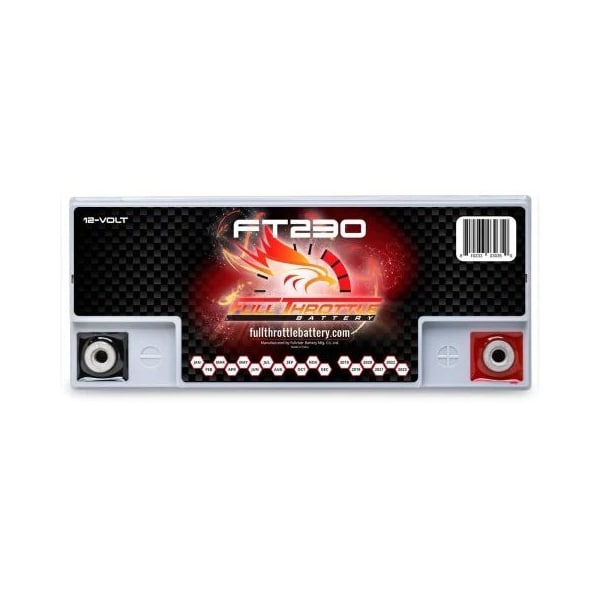 Fullriver Full Throttle 20Ah 230 CCA AGM Battery replaces BT19BL-BS - FT230