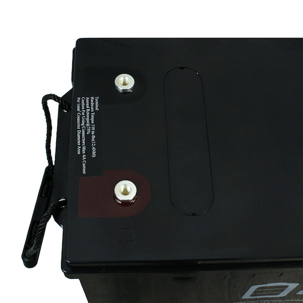 Mighty Max Battery 12-Volt 200 Ah Rechargeable AGM Sealed Lead Acid Battery - ML4D