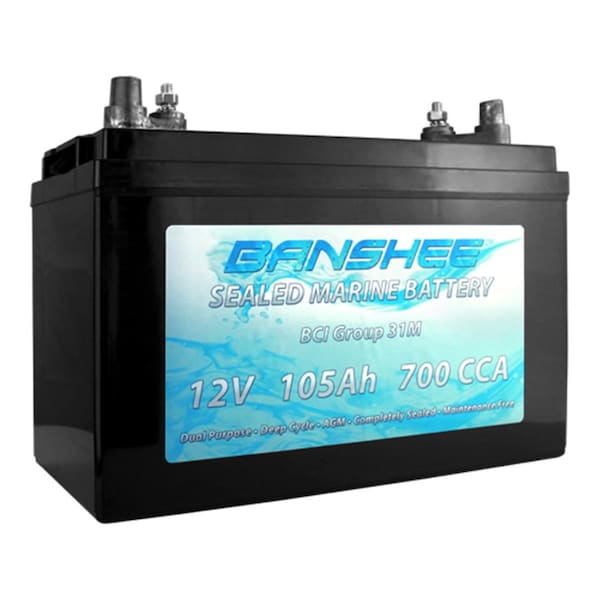 Plugit Group 31 Sealed AGM Deep Cycle Dual Purpose Marine Battery - PL3363223