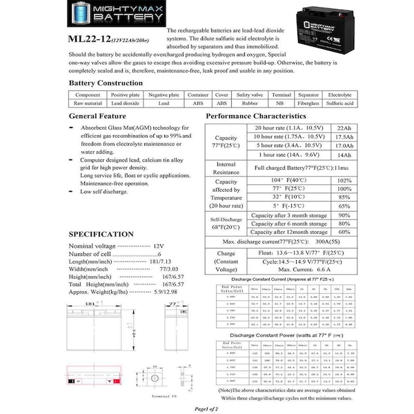 Mighty Max Battery 12V 22AH Battery for Champion Generator 9000/7000 - MAX3532877