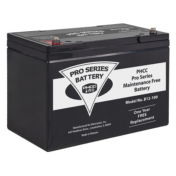 Pro Series Pumps Sump Pump Battery, 12V DC, 100 Ah - B12-100