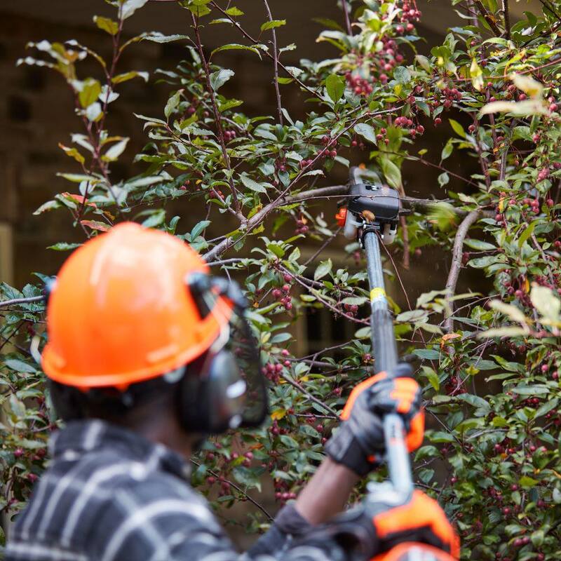 ECHO eFORCE 10 in. Bar 56V Cordless Battery Powered Pole Saw w/Fixed Shaft Proporcionando 12 ft. de alcance Batería 2.5Ah y cargador - DPPF-2100C1
