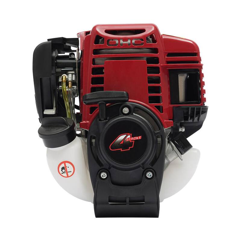 YIYIBYUS 12 pulgadas 35.8cc 4 tiempos Motor de gasolina Sierra de poda de polo de árbol Motosierra a gas - BI-MCR1509+10