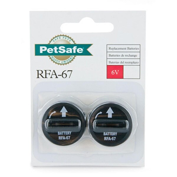 Interstate Batteries Rfa-67 Battery Lithium Pet Safe, 6V - Pack of 2 - IN601025