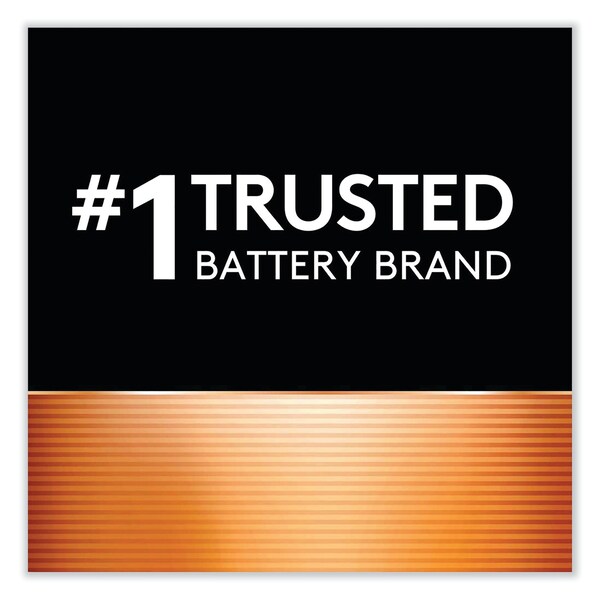 Duracell Lithium Coin Batteries With Bitterant, 2016, PK2 - DURDL2016B2PK