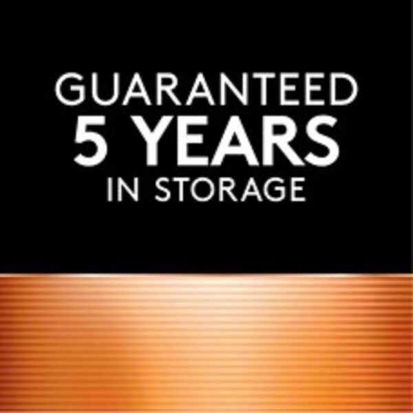 Duracell Duracell Coppertop 9-Volt Alkaline Batteries 4 pk Carded - MN16B4DW