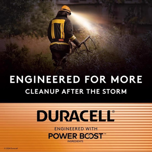 Duracell Duracell Coppertop AAA Alkaline Batteries 8 pk Carded - 04261