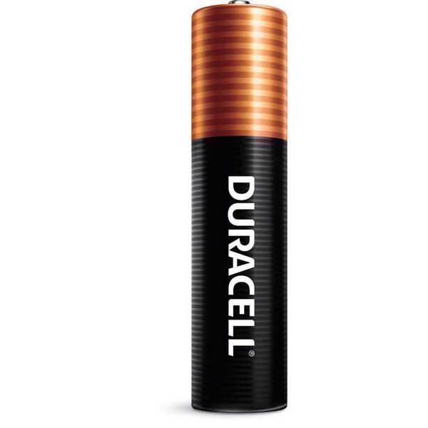 Duracell Duracell Coppertop AAA Alkaline Batteries 8 pk Carded - 04261