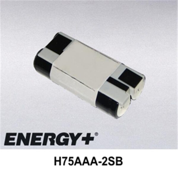 Fedco Batteries FedCo Batteries Compatible with  ENERGY H75AAA-2SB Replacement Battery For Symbol SPT1500 SPT1550 Palm Series - H75AAA-2SB