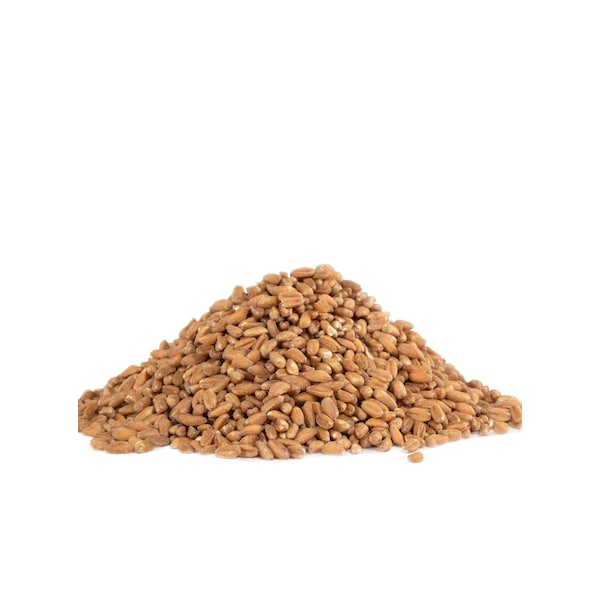 Bobs Red Mill Natural Foods Bob's Red Mill Organic Farro 25lbs - 7015B25
