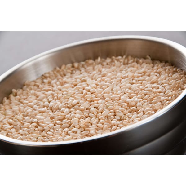 Inharvest Short Grain Brown Rice 25lbs - 48092