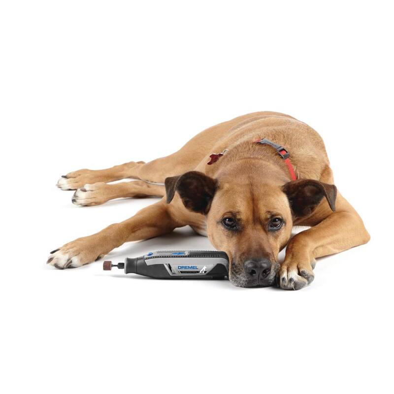 Kit inalámbrico para el cuidado de mascotas Dremel de 4 voltios y 2 amperios con 7 accesorios - 7760-PGK