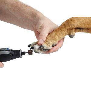 Kit inalámbrico para el cuidado de mascotas Dremel de 4 voltios y 2 amperios con 7 accesorios - 7760-PGK