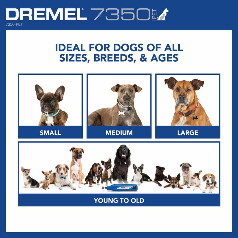 Kit de manicura para mascotas con herramienta rotativa inalámbrica de 4 voltios y 2 amperios Dremel con puerto USB y 5 bandas de lijado - 7350-PET.