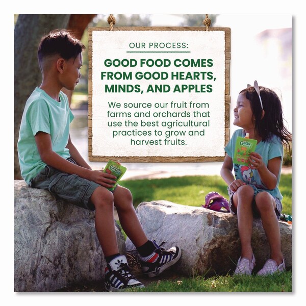 Gogo Squeez Fruit on the Go, 10 Apple/10 Apple Cinnamon, 3.2 oz Pouch, 20PK - MNA04331