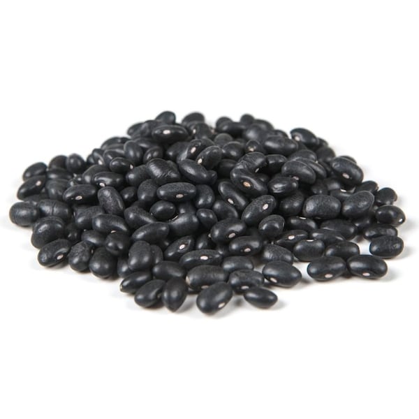 Commodity Canned Fruit & Vegetables Commodity Fancy In Brine Black Beans No 10 Can, PK6 - 10235