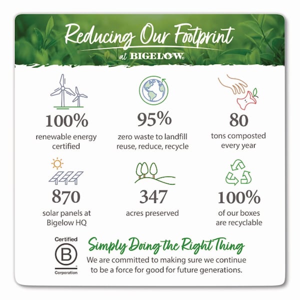 Bigelow Green Tea with Pomegranate, 0.07 oz Tea Bag, 28PK - RCB10363