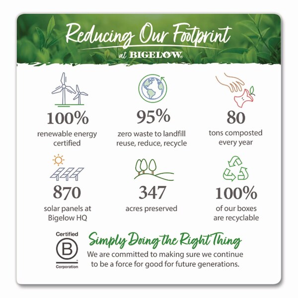 Bigelow Benefits Wellness Tea Bags, Assorted Flavors, 64PK - RCB50568