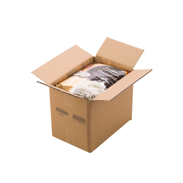 Big Train Big Train Dragonfly Coconut Blended Creme Drink Mix 3.5lbs, PK5 - BT.656110