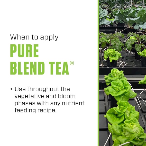 Botanicare Botanicare Pure Blend Tea Organic Liquid Plant Supplement 1 gal - HGC732635