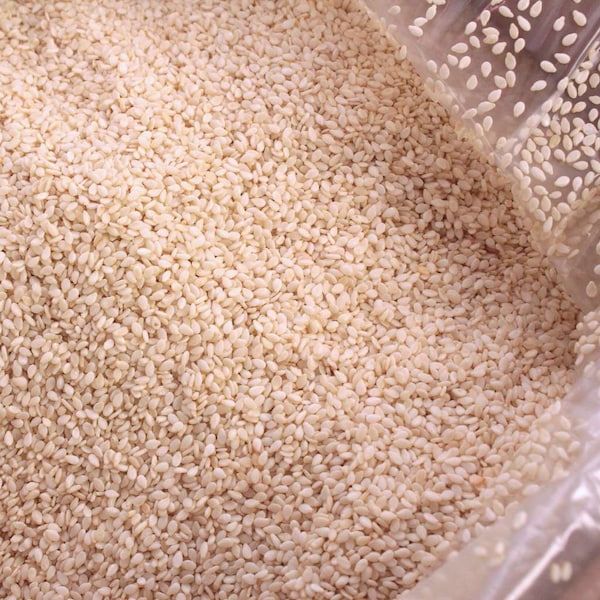 Savor Imports Savor Imports Hulled Sesame Seed 10lbs - 659138014023
