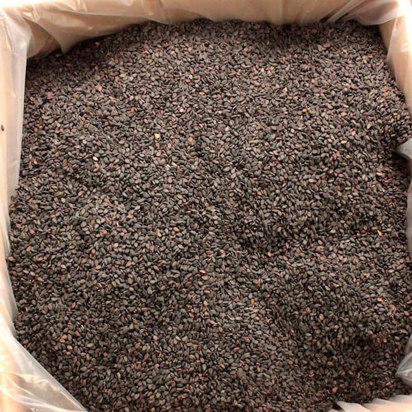 Savor Imports Savor Imports Black Sesame Seed 10lbs - 659138014009