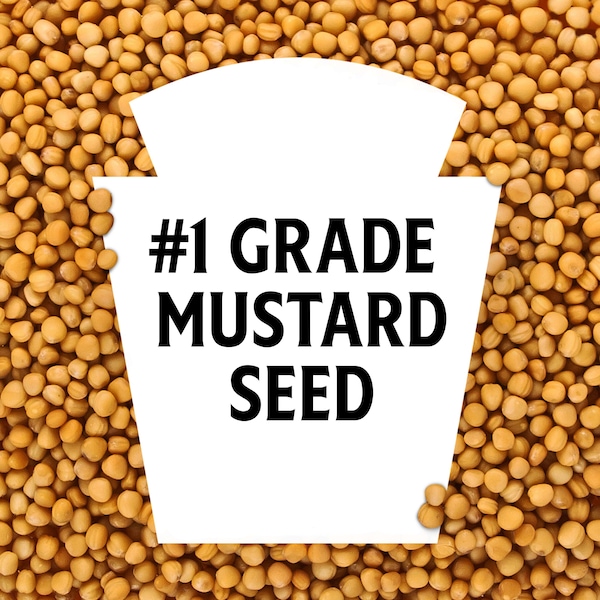 Heinz Heinz Yellow Mustard 8 oz. Can, PK12 - 10013000002117