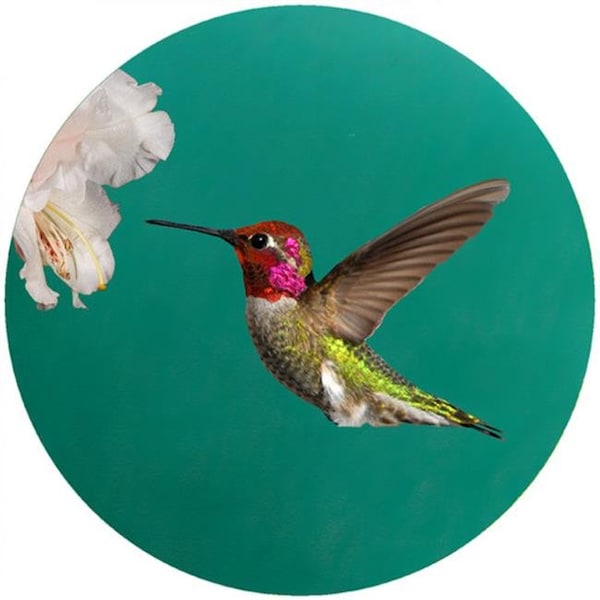 Andreas Andreas JO-CAH Custom Annas Hummingbird Jar Opener - 3 Pack - JO-CAH