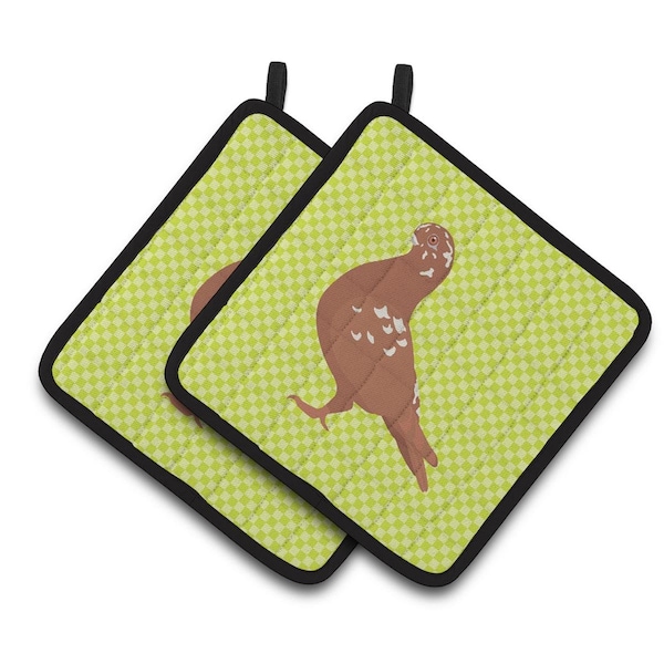 Carolines Treasures African Owl Pigeon Green Pair of Pot Holders - BB7779PTHD