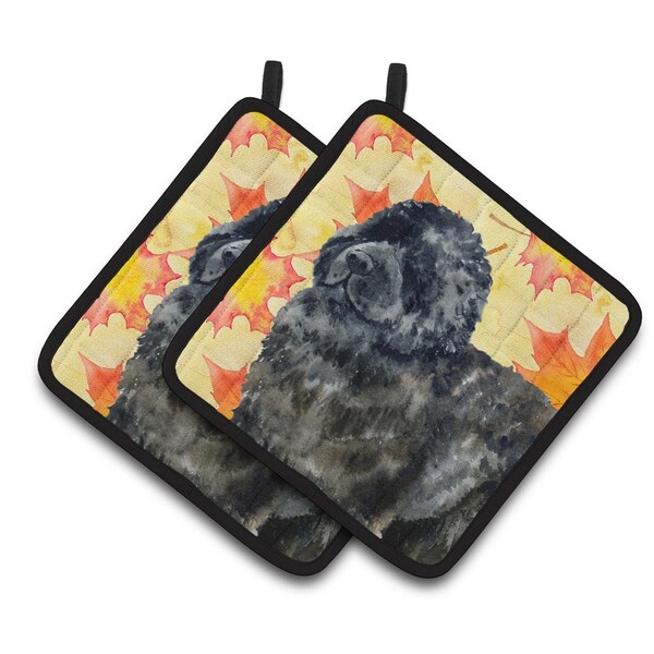 Carolines Treasures Newfoundland Fall Pair of Pot Holders - BB9932PTHD