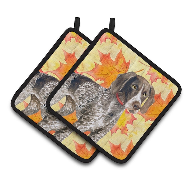 Carolines Treasures German Shorthaired Pointer Fall Pair of Pot Holders - BB9902PTHD