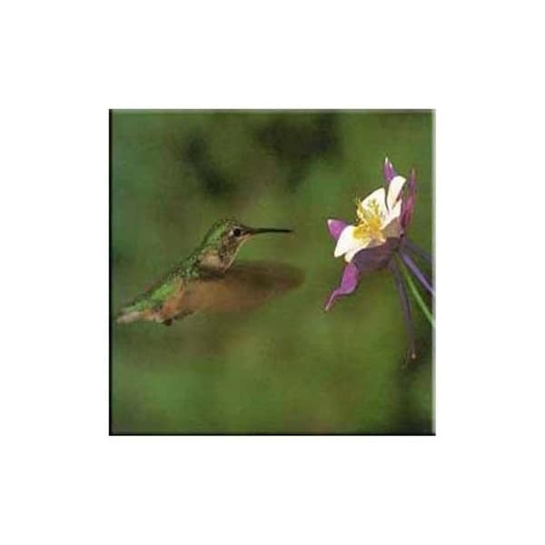 Mcgowan Mfg Co McGowan TT99826 Tuftop Hummingbird and Columbine Trivet - TT99826