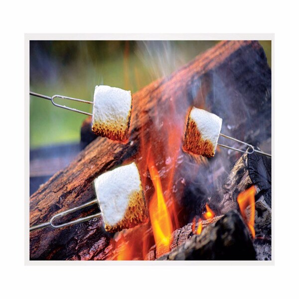 Blazing Ledz Blazing LEDz Open Flame Roasting Extendable Marshmallow Fork Plastic/Stainless Steel 3 pk - 702480