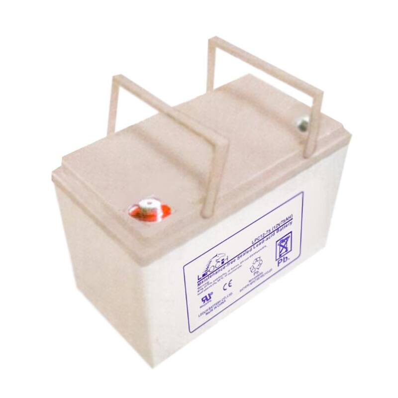 Batería Sellada de Ácido de Plomo de 12 Voltios y 75 Ah para Cortadoras de Césped Ryobi de 38 pulgadas - LPC12-75T6