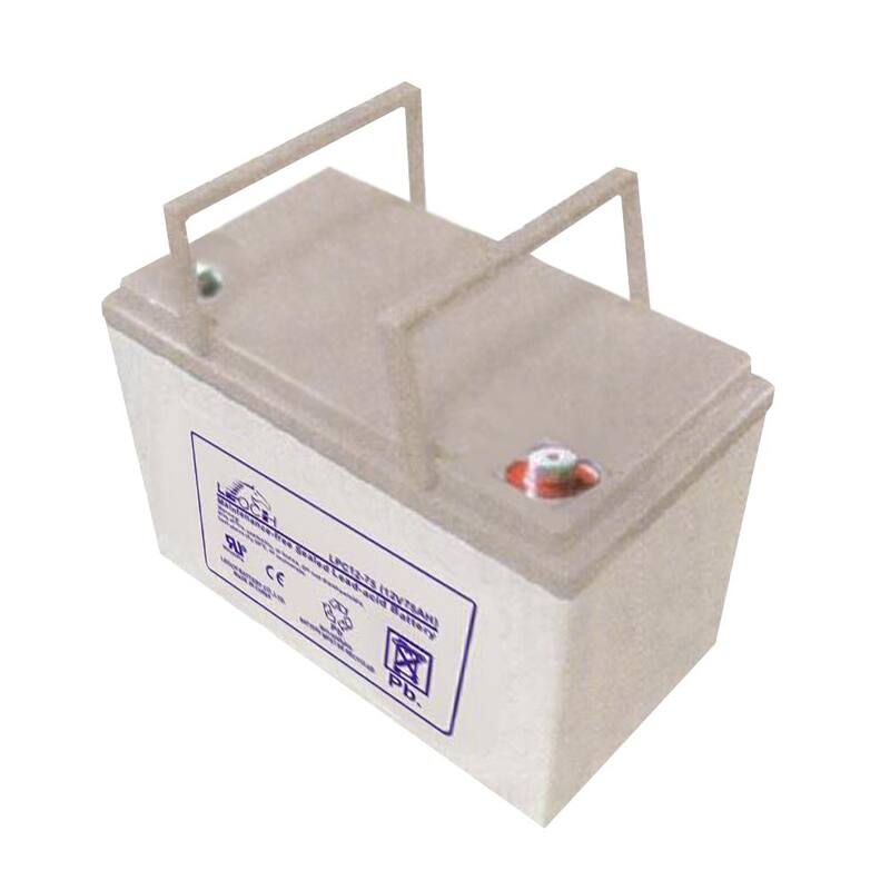 Batería Sellada de Ácido de Plomo de 12 Voltios y 75 Ah para Cortadoras de Césped Ryobi de 38 pulgadas - LPC12-75T6