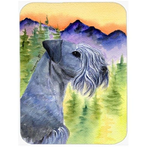 Carolines Treasures Carolines Treasures SS8232LCB Cesky Terrier Glass Cutting Board - Large - SS8232LCB