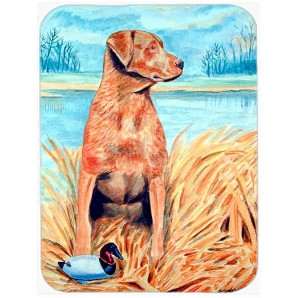 Carolines Treasures Carolines Treasures 7112LCB Chesapeake Bay Retriever Glass Cutting Board - Large; 15 x 12 in. - 7112LCB