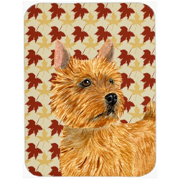 Carolines Treasures 12 x 15 in. Norwich Terrier Fall Leaves Portrait Glass Cutting Board- Large - SS4357LCB